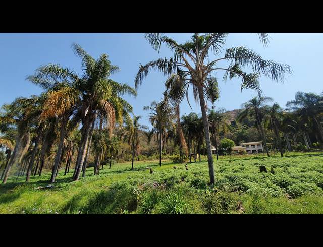 16HA FARM SOLD IN NELSPRUIT RURAL